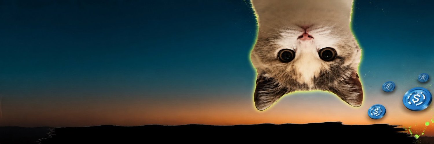 upside down cat $USDC