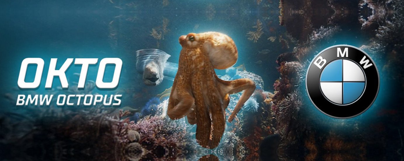 Okto The Octopus